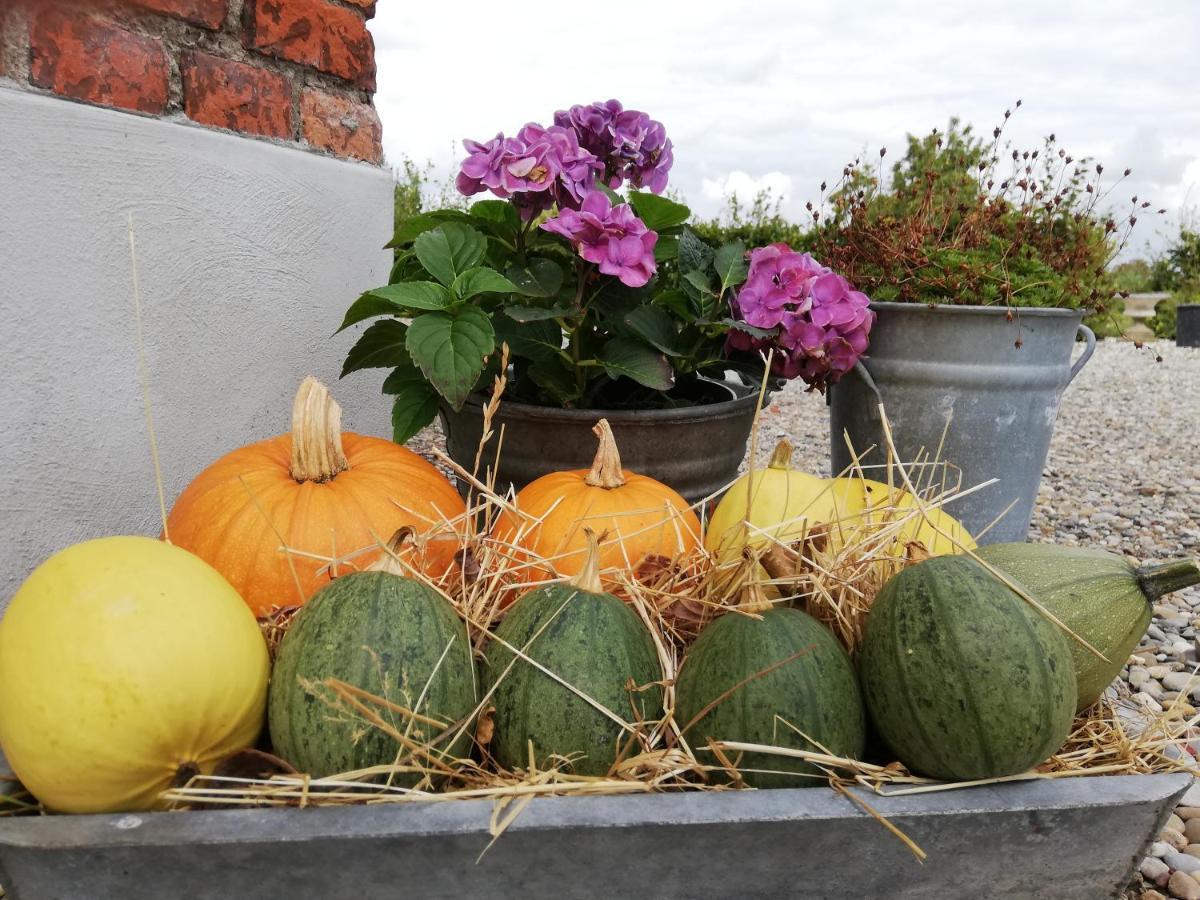 Bed & Breakfast Het Zeeuwsverblijf Terneuzen